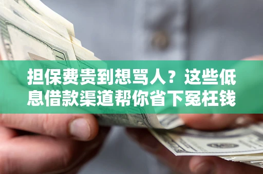 武汉担保费贵到想骂人？这些低息借款渠道帮你省下冤枉钱