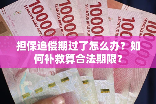 武汉担保追偿期过了怎么办？如何补救算合法期限？