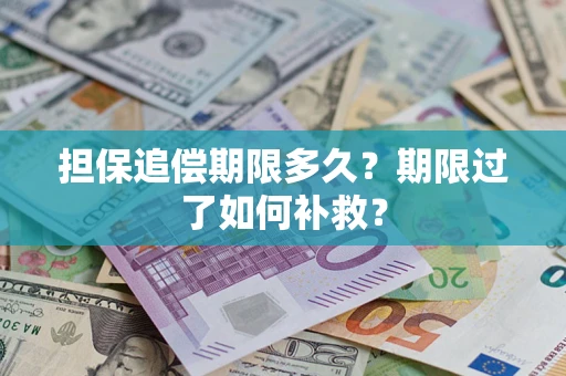 武汉担保追偿期限多久？期限过了如何补救？