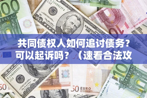 武汉共同债权人如何追讨债务？可以起诉吗？（速看合法攻略）