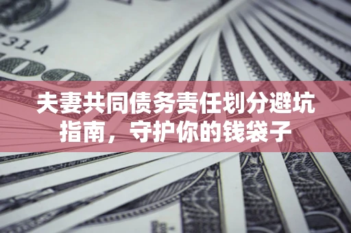 武汉夫妻共同债务责任划分避坑指南，守护你的钱袋子