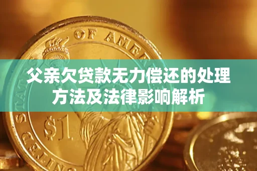 武汉父亲欠贷款无力偿还的处理方法及法律影响解析
